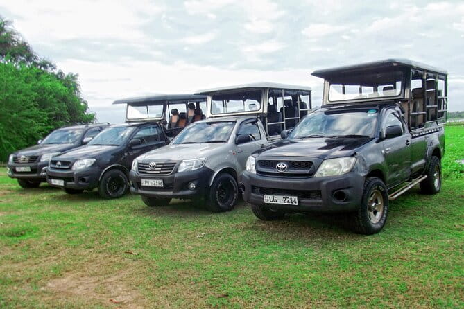 Wildlife Safari Yala National park - Is $160 good value?
