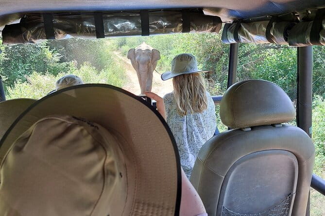 Wildlife Safari Yala National park - Practical details that affect your day