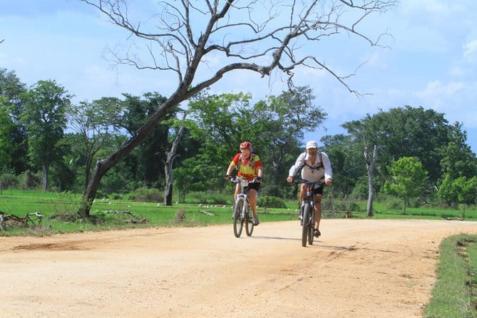 Wilpattu Half Day Safari From Anuradhapura - Is $73 good value?