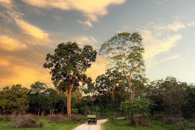 Wilpattu National park - Full day Safari (06:00am - 18:00pm) - Key points at a glance