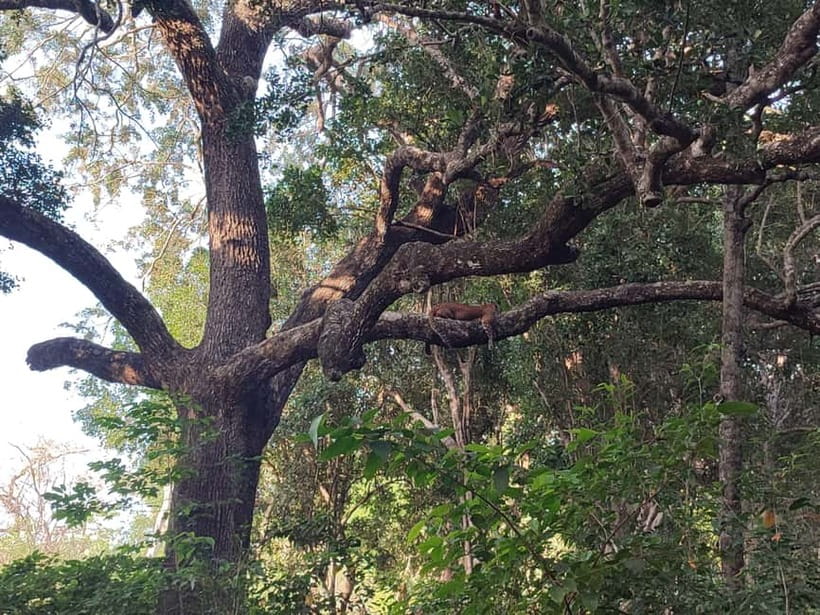 Wilpattu National park - Full day Safari (06:00am - 18:00pm) - Inside Wilpattu’s villu country