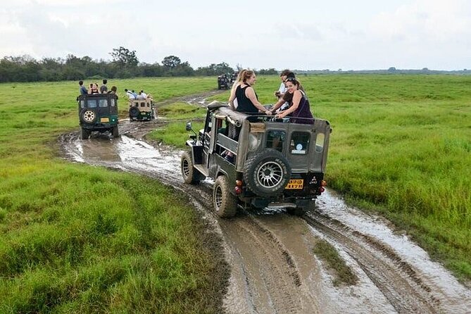 Wilpattu National Park Jeep Safari from Negombo / Waikkal (All Inclusive) - The hard truth about a 10 to 16 hour day