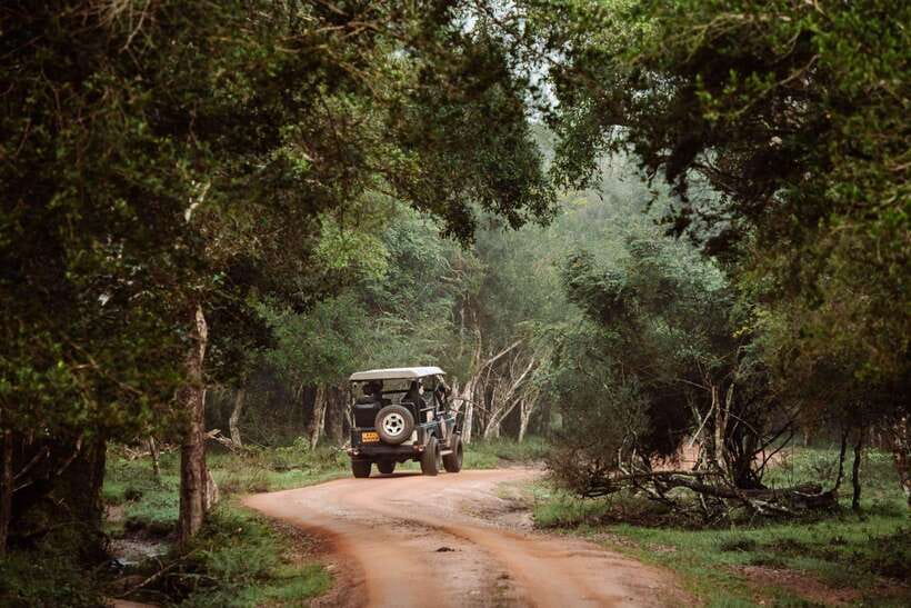 Wilpattu National Park: Private Safari - Who should choose this Wilpattu safari?