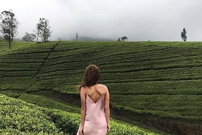 Wonderful Srilankan 14 Days Tours - From Colombo airport to Sigiriya’s ancient rock