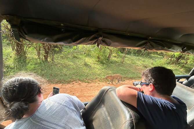 Yala 4h Jeep Safari: Guided Wildlife Experience (All Inclusive) - A picnic stop in quiet surroundings
