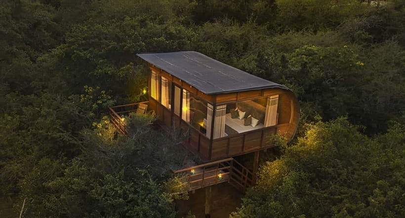 Yala: All Inclusive Overnight Glamping and Safari - The morning jeep safari in Yala National Park