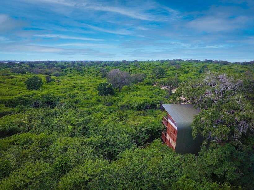 Yala: All Inclusive Overnight Glamping and Safari - Breakfast surrounded by the park