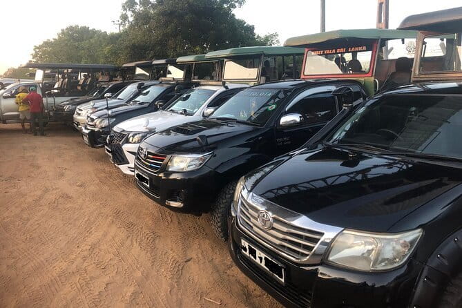 Yala and Udawalawa Safari Tour From Hambantota port - A port-day safari with real timing concerns