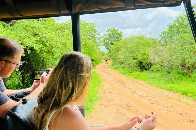 Yala Best Extended Half Day Safari By Ceylon Leopard Safari - Leopard watching is the main event