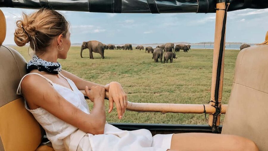 YALA BLOCK 5 & 6 (Weheragala & Lunugamwehera) Safari Tour - The early pickup sets the tone