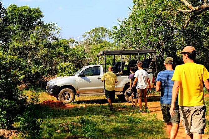 Yala Full day Leopard Safari Tour with Picnic Lunch - Picnic breakfast, lunch, and a pause by the beach