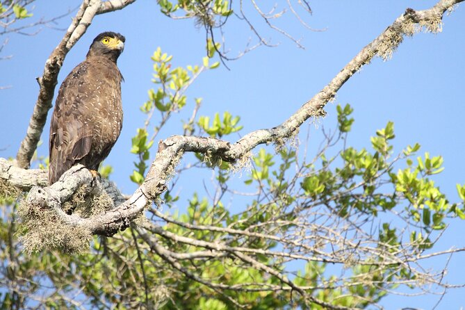 Yala Full Day Safari from Hambantota Port Shore Excursion - What makes the 4WD ride worthwhile