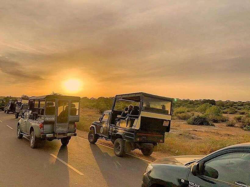 Yala National Park: 7 hour & 12 hour Leopard Safari Tours - Breakfast, lunch, and the practical comforts