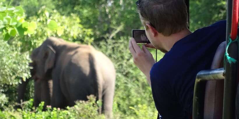 Yala National Park: All Inclusive Full-Day Safari with Lunch - Why Yala is worth giving a full day