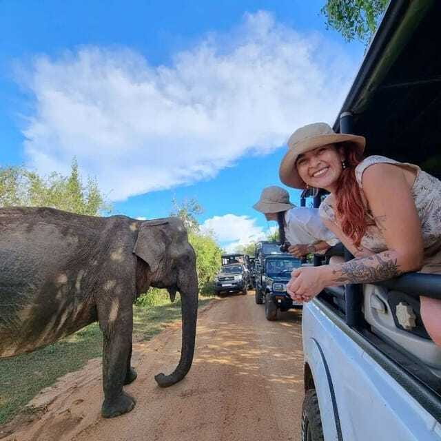 Yala National Park: All Inclusive Private Safari Day Trip - Lunch, park fees, and the real value of $140