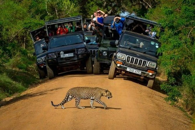 Yala National Park (Day Tour) - Leaving Kalutara in a private vehicle