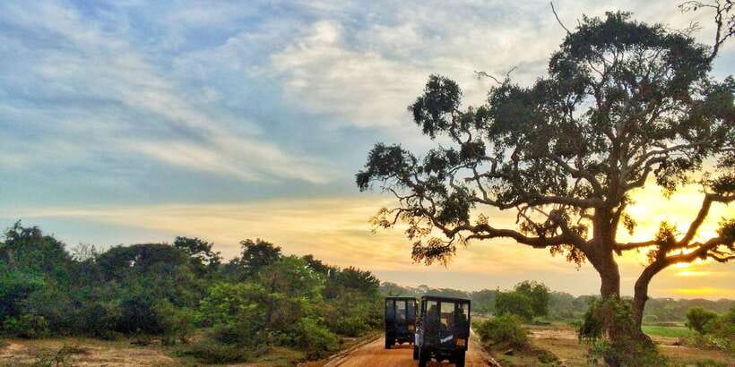 Yala National Park: Half, 7-Hour, or Full-Day Safari & Meals - Key points to know before booking