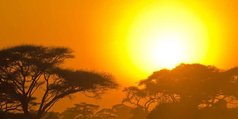 Yala National Park: Half, 7-Hour, or Full-Day Safari & Meals - Should you book this Yala safari?