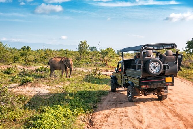 Yala National Park Half Day / Full Day Special Safari Tours - Is the $22 price really $22?