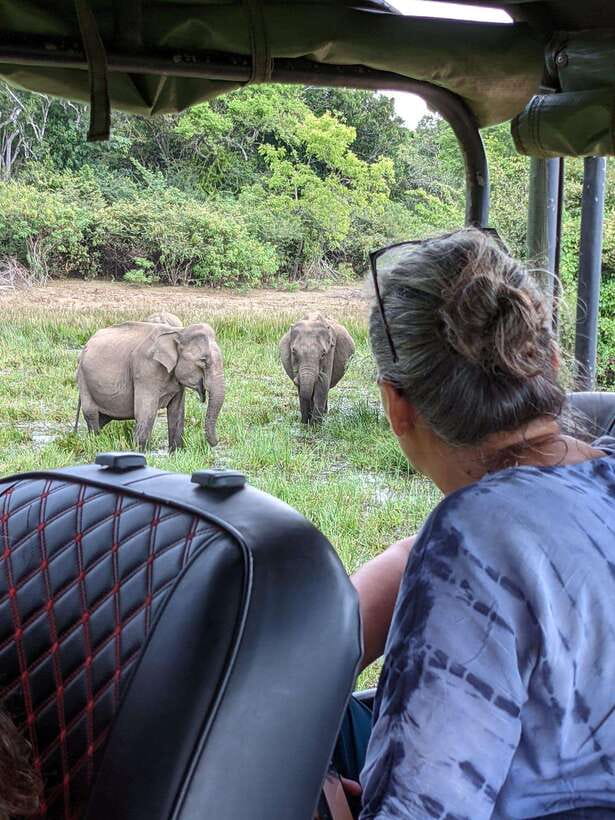 Yala National Park: Half Day or Full Day Leopard Safari Tour - Key points to know before booking