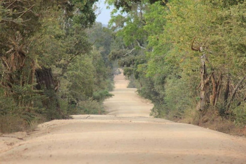 YALA National Park - HALF DAY or FULL DAY TOUR - Patanangala and the 30-minute break