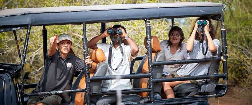 Yala National Park Jeep Safari: Leopards, Elephants & Wild - Why Yala is worth your time