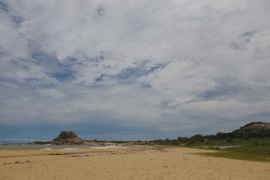 Yala National Park: Leopard Safari Full day tour with Lunch - The guide can shape the quality of the safari