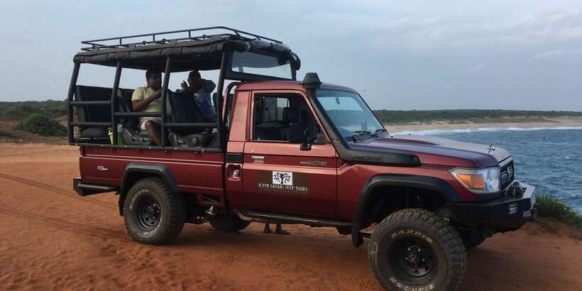 Yala National Park: Leopard Safari Full day tour with Lunch - The leopard question: what your chances really mean