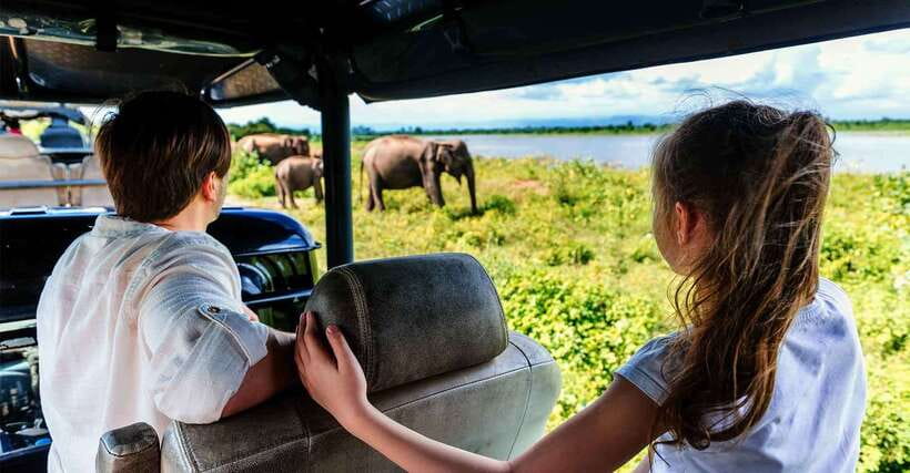 Yala National Park: Leopard Safari Tour with Park Tickets - Starting before sunrise in Yala