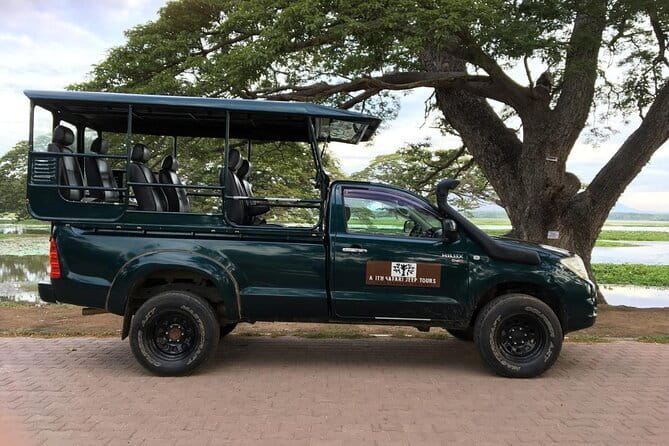 Yala National Park Morning or Afternoon Leopard Safari - Sustainability and Local Connections