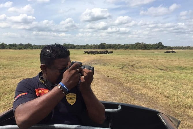 Yala National Park Private Jeep Safari From Colombo & Negombo - Drivers can shape the whole experience
