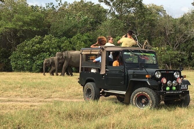 Yala National Park Private Jeep Safari From Colombo & Negombo - Comfort, dust, sun, and sensible packing