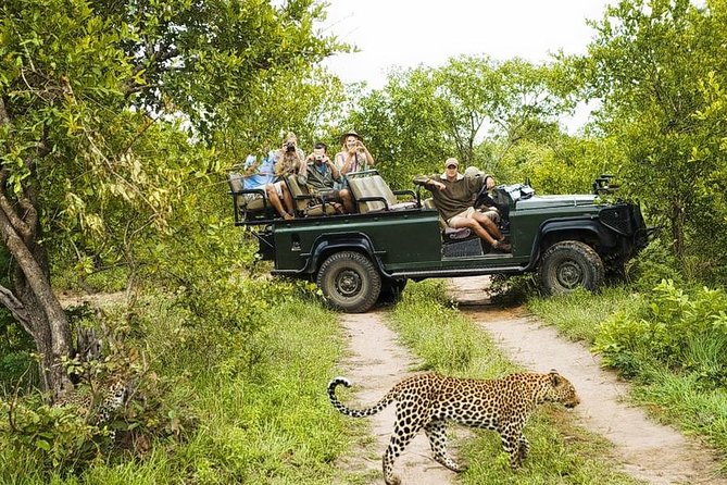 Yala National Park Private Safari (All Inclusive) From Mirissa - Why the private format can be worth the cost