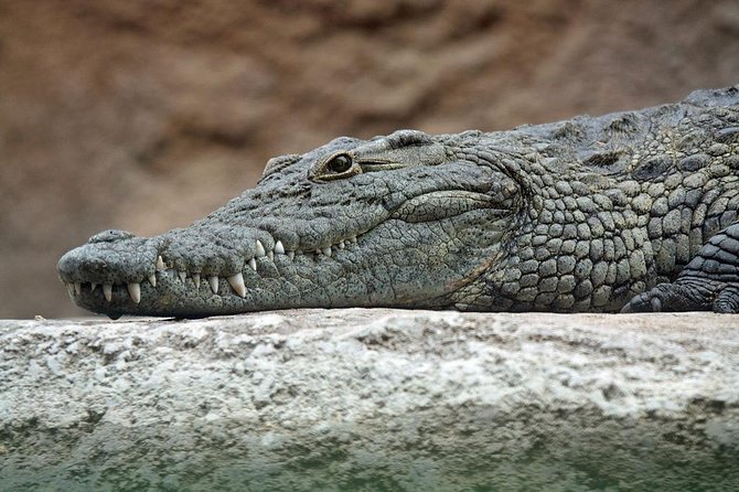 Yala National Park Private Safari (All Inclusive) From Mirissa - Entering Yala with the main costs already covered