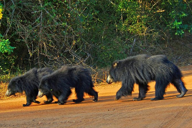 Yala National Park Private Safari trip from Galle/Unawatuna/Mirissa - Is $200 per person fair value?