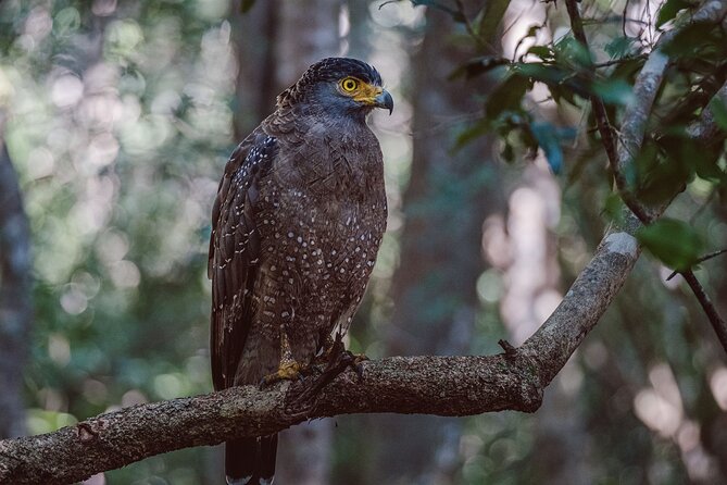 Yala National Park Private Safari - Forests, plains, and lagoon country