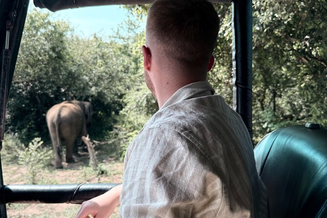 Yala National Park Safari FULLDAY and HALFDAY Expert Guided Tour - A 5:00 AM start in southern Sri Lanka