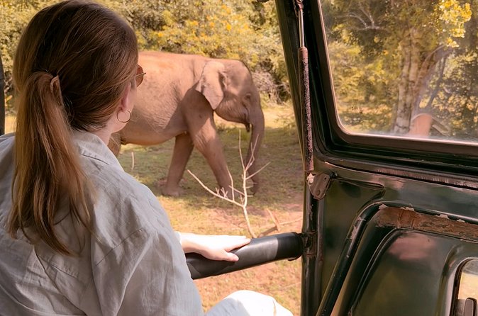 Yala National Park Safari FULLDAY and HALFDAY Expert Guided Tour - The noon lunch pause and 2:00 PM restart