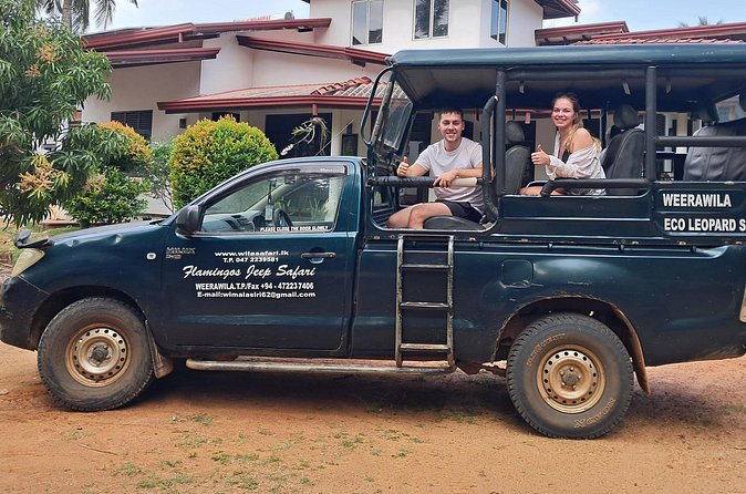 Yala National Park Safari FULLDAY and HALFDAY Expert Guided Tour - Afternoon birds and the final wildlife search