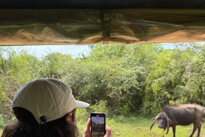 Yala National Park Safari FULLDAY and HALFDAY Expert Guided Tour - Who should book this Yala safari?