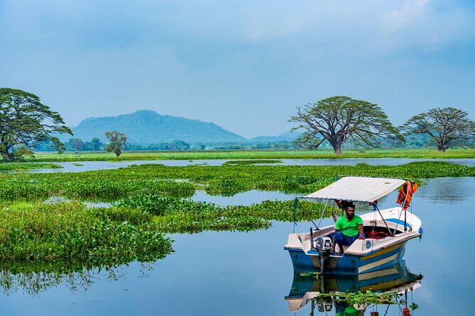 Yala National Park Safari - Half day and Full day - What you might see in Yala