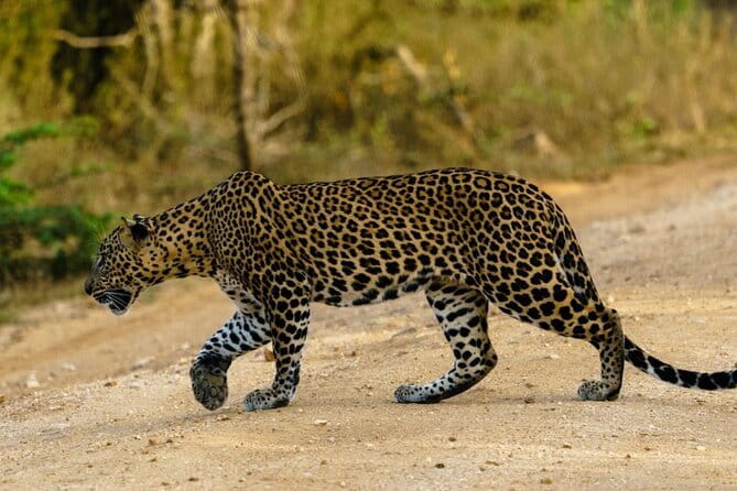 Yala National Park Safari - Half day and Full day - The route beyond Yala