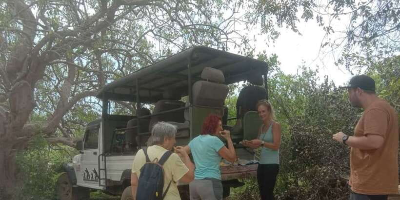Yala National Park Sharing Safari (5 Hours) - Key points to know before booking