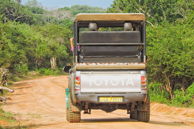 Yala National Park special Half-Day & Full-Day Safari Adventure - The picnic lunch and included comforts
