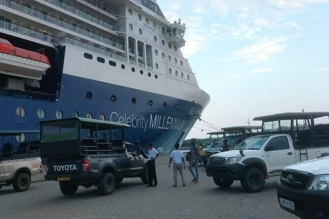 Yala National Park Tour From Hambantota Port - How to make the most of your safari