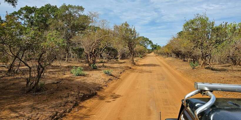 Yala National Park Wildlife safari from Mirissa - From Mirissa to Yala National Park
