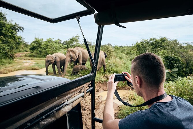 Yala National Park Wildlife Safari/ Game Drive - by Ajith Safari - Why Yala is worth your time