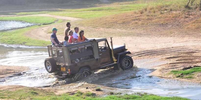 Yala Private Safari: Half-Day or Full-Day with Picnic Lunch - Why this Yala safari works well for wildlife watchers