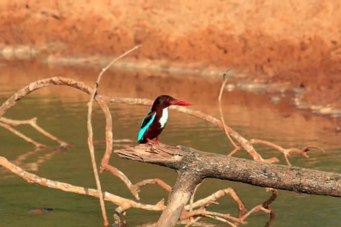 Yala Safari by Yala Safari Wonders - Private transport and pickup make the day easier