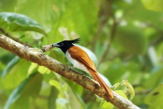 Yala Safari by Yala Safari Wonders - Entering Yala National Park for a four-hour safari